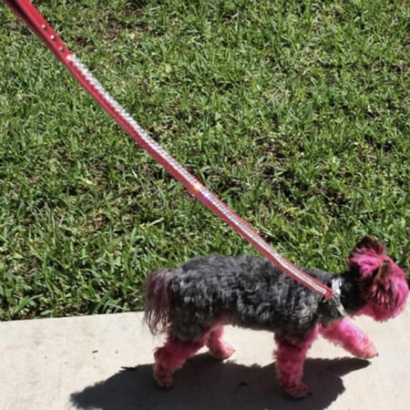 Runway Ready - Glammed Out Pet Leash - Picture 10 of 10